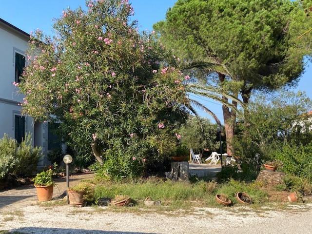 Isola D'Elba Casa Vacanze - Villa Portello - Magnetite - La Casina Rio Marina Dış mekan fotoğraf